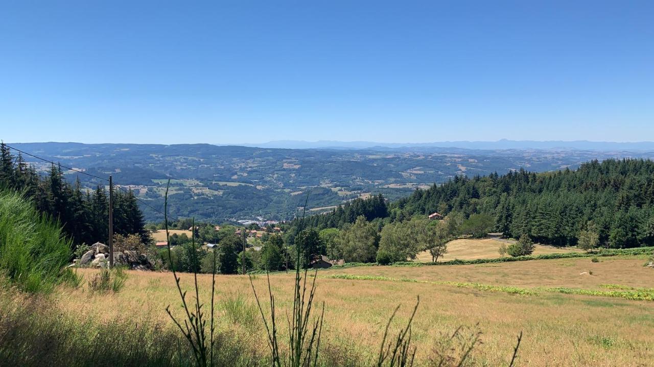 Gite " Oree Des Bois" Vertolaye Kültér fotó