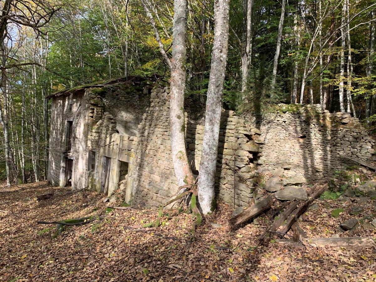 Gite " Oree Des Bois" Vertolaye Kültér fotó
