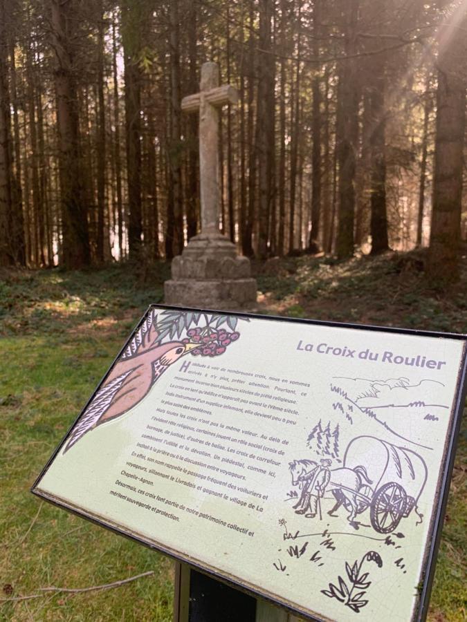 Gite " Oree Des Bois" Vertolaye Kültér fotó