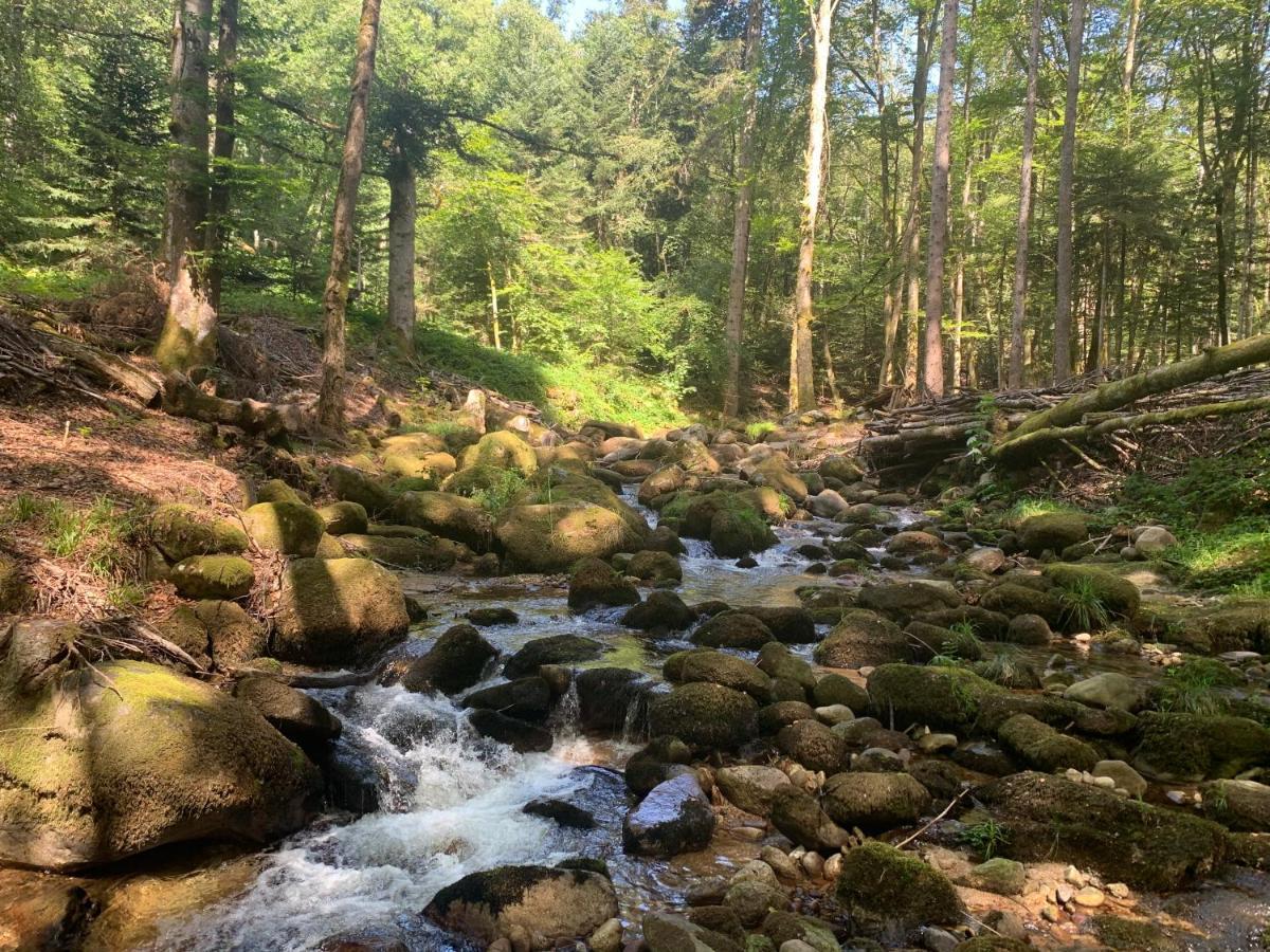 Gite " Oree Des Bois" Vertolaye Kültér fotó