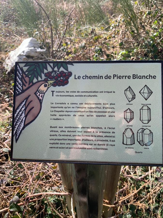 Gite " Oree Des Bois" Vertolaye Kültér fotó