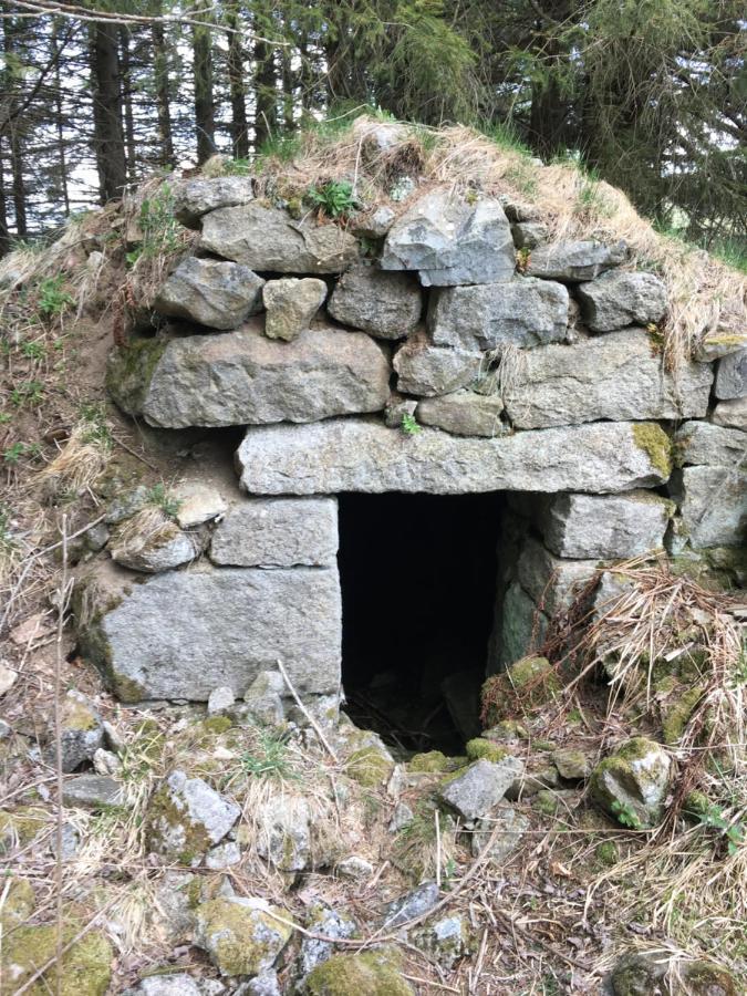 Gite " Oree Des Bois" Vertolaye Kültér fotó