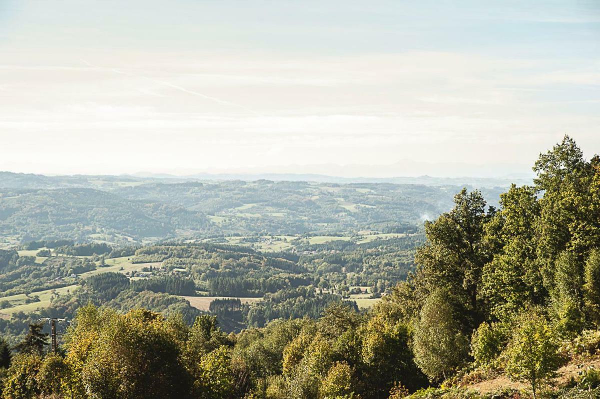 Gite " Oree Des Bois" Vertolaye Kültér fotó