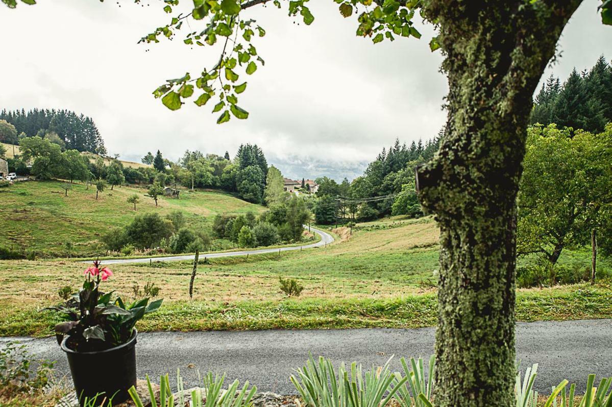 Gite " Oree Des Bois" Vertolaye Kültér fotó